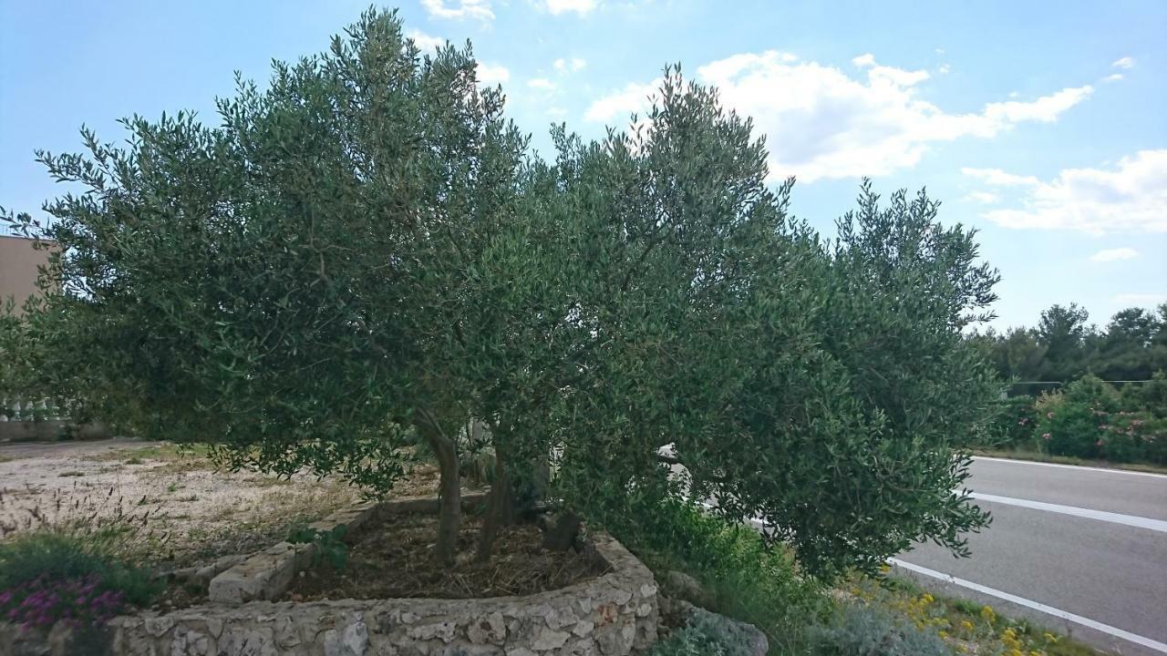 Apartmani Kocka